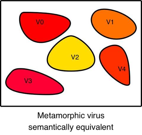 metamorphic evolution