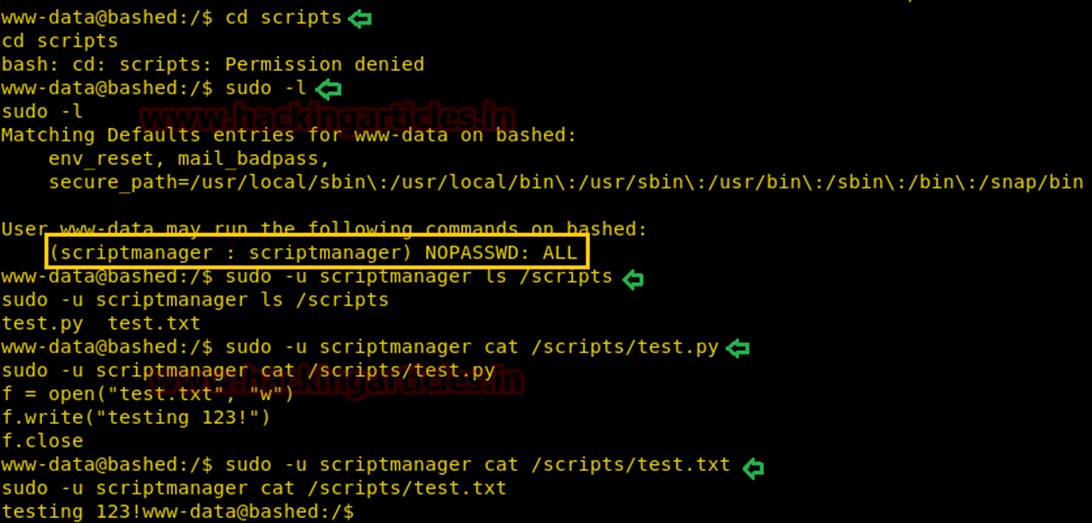 Bash darknet permission denied гирда suchmaschine darknet попасть на мегу