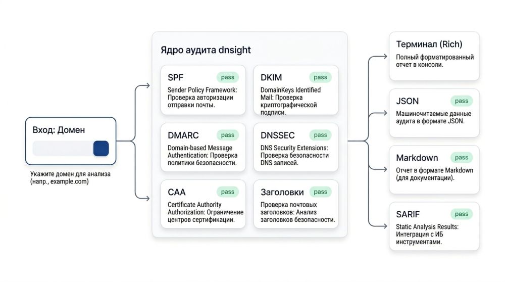 Схема работы dnsight.