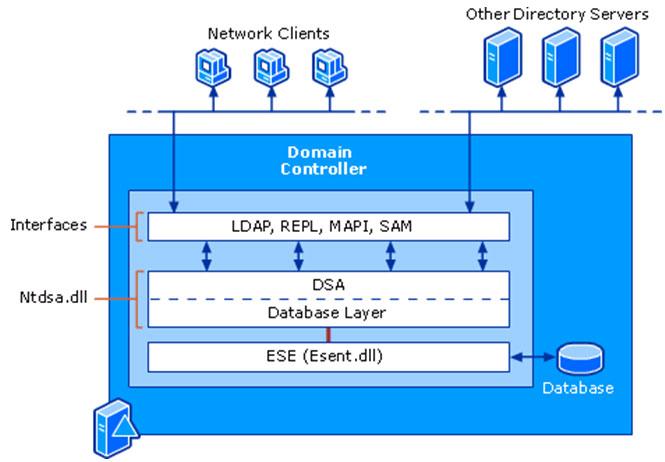 Cam шкала делирий. Осс/occupancy. Cam-icu. Базы данных active directory. Cam-icu.