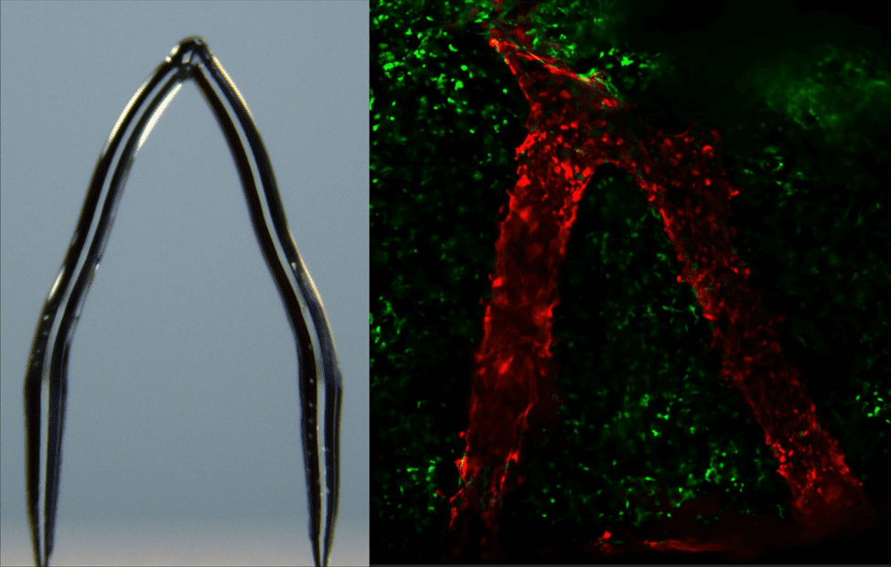 Тающий образовано от. Основы глаголов от которых образованы причастия. Причастие образовано от глагола. Тающий образовано от. Клеить спряжение.