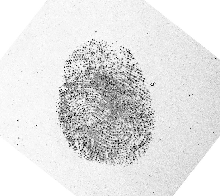 f_2-768x685.jpg