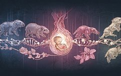 article-title