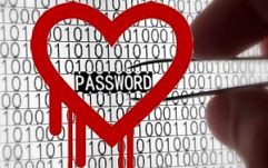 Secunia: Устранение Heartbleed-уязвимости займет несколько месяцев