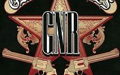 Сотрудники ФБР арестовали блоггера за публикацию песен Guns N' Roses