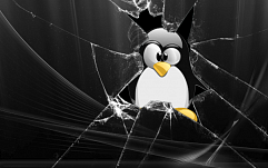 Уязвимости в Systemd ставят под угрозу большинство дистрибутивов Linux