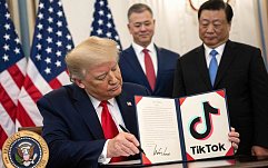article-title