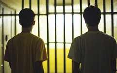 article-title