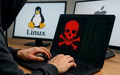 article-title