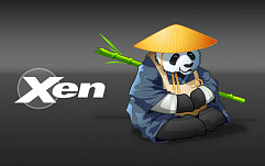 Xen Project раскрыл подробности о бреши, позволяющей осуществление DoS-атаки