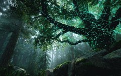 article-title