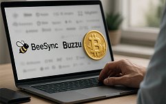article-title