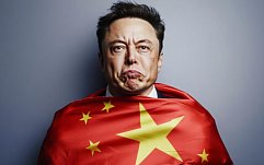 article-title