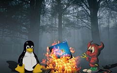 Windows Server занимает 73,9% рынка серверов