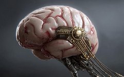 article-title