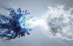 article-title