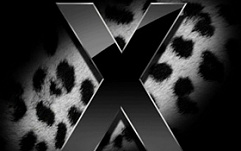 Apple сегодня выпускает новую операционную систему Leopard