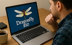 article-title