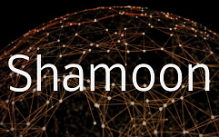 Новый вариант червя Shamoon маскируется под ПО Baidu
