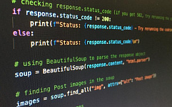 article-title