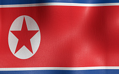 article-title