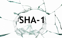 Представлена первая в истории коллизионная атака с заданным префиксом на SHA-1