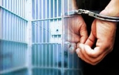 Полиция арестовала 18-летнего участника LulzSec