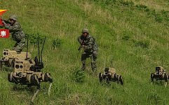 article-title