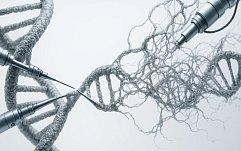 article-title