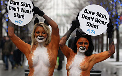 PETA откроет web-сайт в доменной зоне .xxx