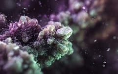 article-title