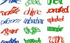 CAPTCHA мешает незрячим пользователям подписать петицию в защиту своих прав