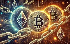article-title