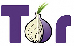 Бразильский университет собирал данные о пользователях Tor