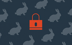 Эксперты: Атаки Bad Rabbit не преследовали финансовую выгоду