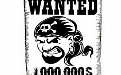 BSA продлила акцию "Сдай пирата" до конца 2007 года