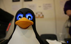 Вымогательское ПО FairWare взламывает Linux-серверы и удаляет корневые папки сайтов
