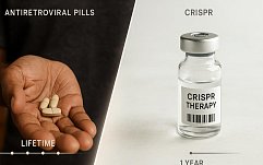 article-title