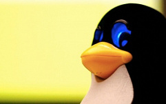 В Linux-приложении для шифрования был один универсальный пароль