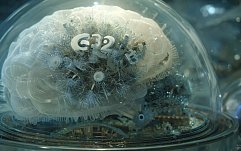 article-title