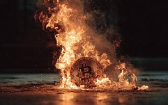 article-title