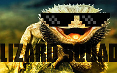 Правоохранители арестовали пользователей инструмента хакеров из Lizard Squad