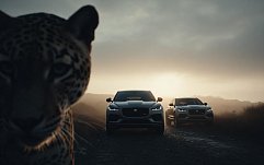 article-title