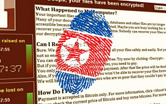 США официально обвинили КНДР в атаках WannaCry