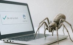 article-title