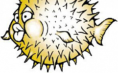 Вышла OpenBSD 4.9