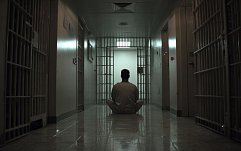article-title
