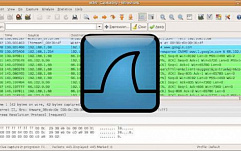 Wireshark может прекратить работу из-за файлов трассировки вредоносных пакетов