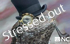 Lizard Squad «отомстили» правоохранителям за арест пользователей Lizard Stresser