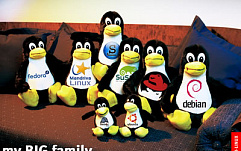 IBM представила Big Green Linux